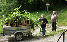 P1010270.JPG