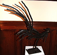 img_2181.jpg
